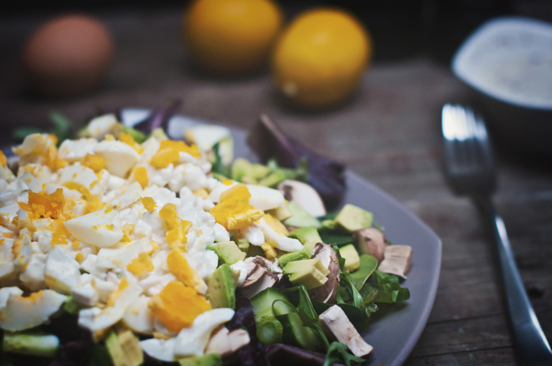 PROTEIN EGG Karimdavid.com